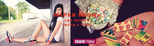 индика Алзамай