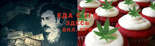 индика Алзамай