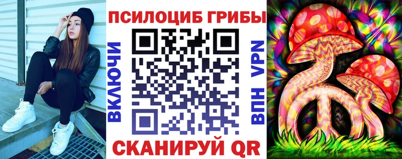 Галлюциногенные грибы Psilocybe  площадка состав  Новоалександровск 
